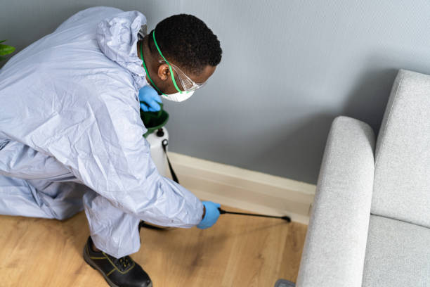 Best Real Estate Pest Inspections  in Sulphur, OK